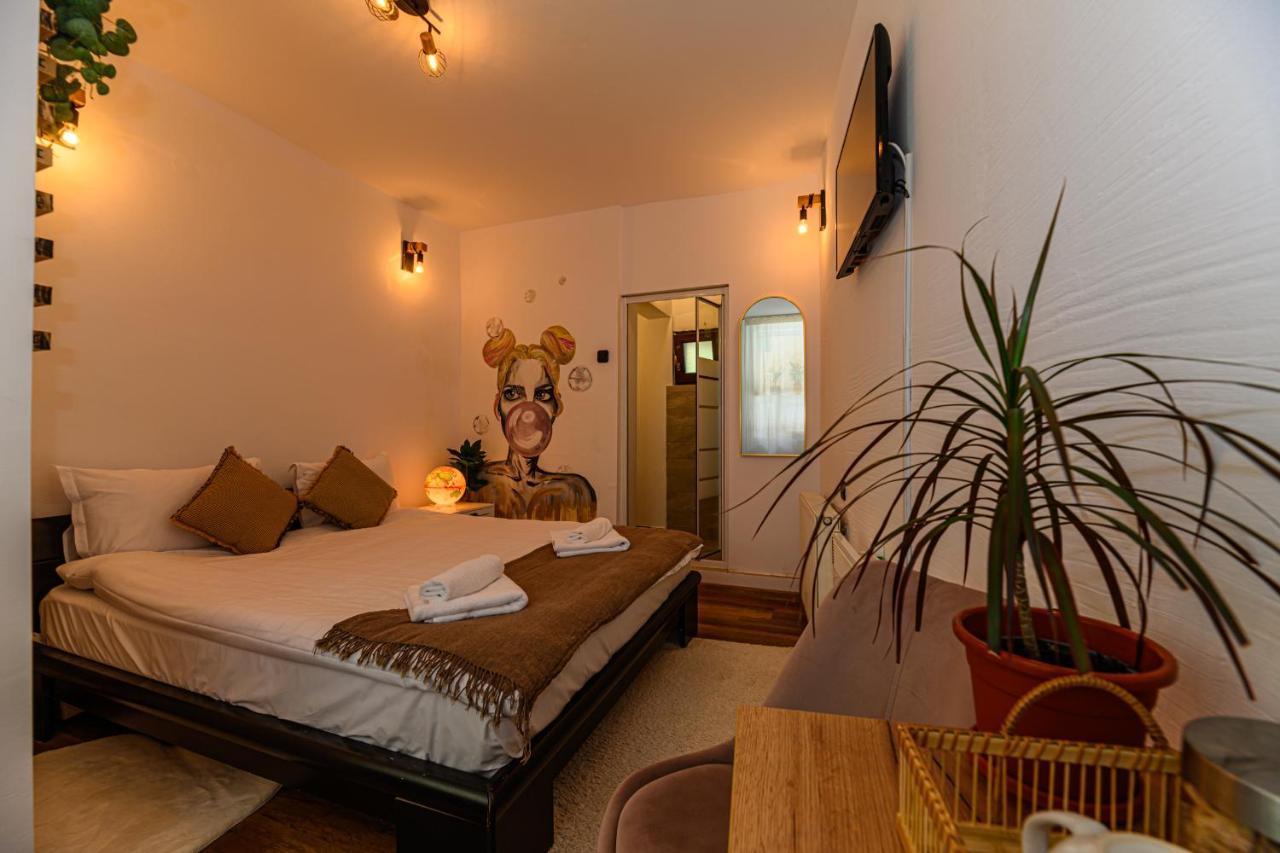 Backpacker'S Room Braşov Dış mekan fotoğraf