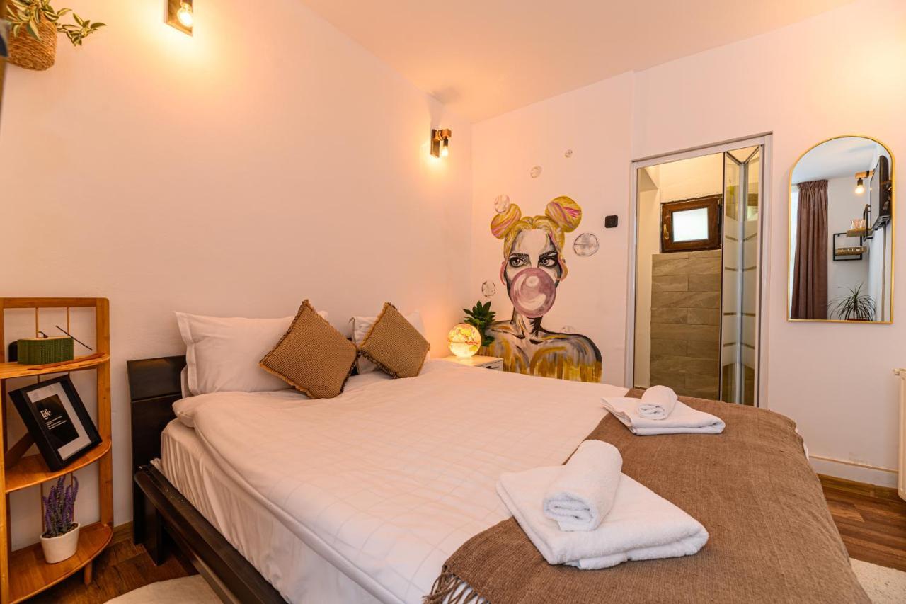 Backpacker'S Room Braşov Dış mekan fotoğraf